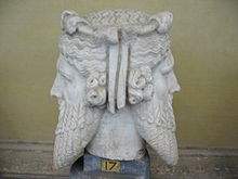 220px-Janus1.JPG