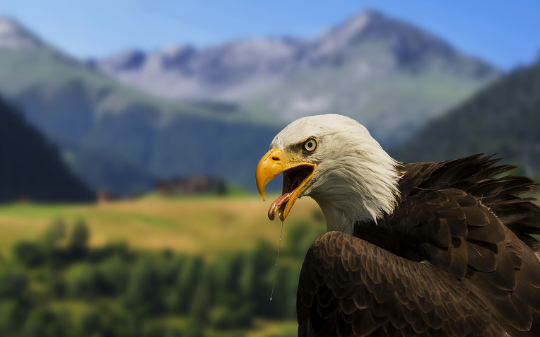 22168344525E589D07F7AB.jpg