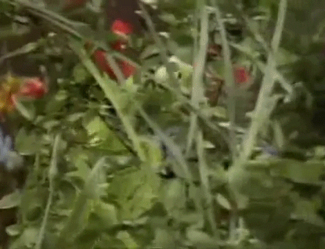 2282d2ed-16a1-4c95-bfb8-c2a94f9e56f4.gif