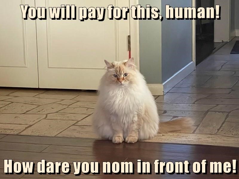 228AF24F-DD0B-43F2-8CB8-53620453E30F.jpeg