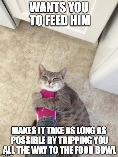 22E22BE3-50F6-4E7A-BDED-CA12F3EA7D74.jpeg