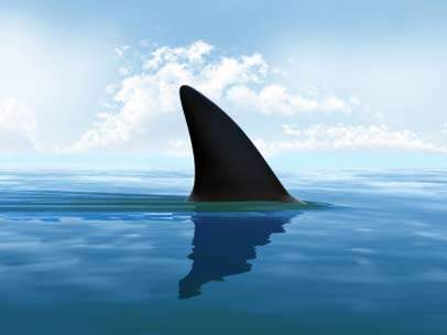 22jaws-fin.jpg