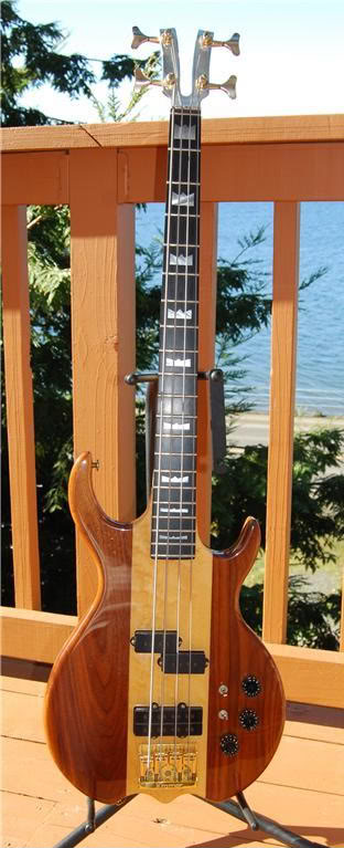 230758183_o-1.jpg