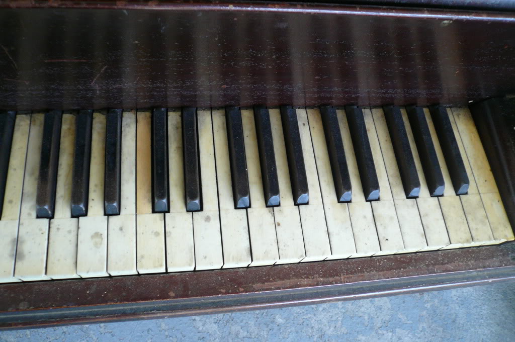 235.jpg