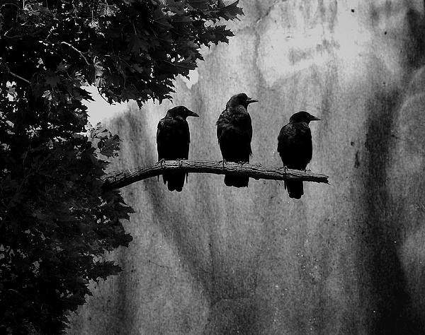 2355ae30-5e3f-48b2-bc7a-8a227054869f.jpg