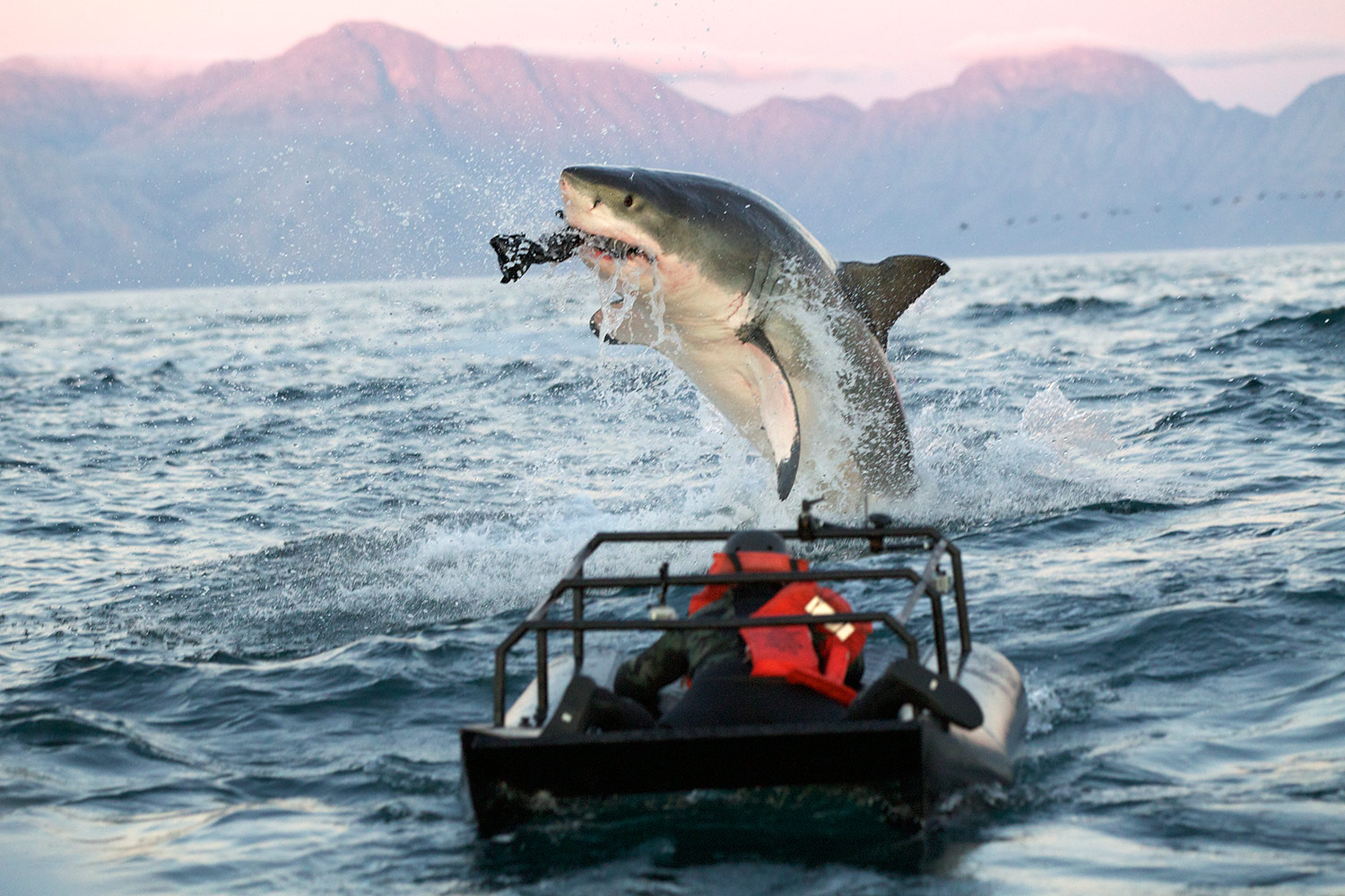 23639_AIR_JAWS_2012_05.jpg