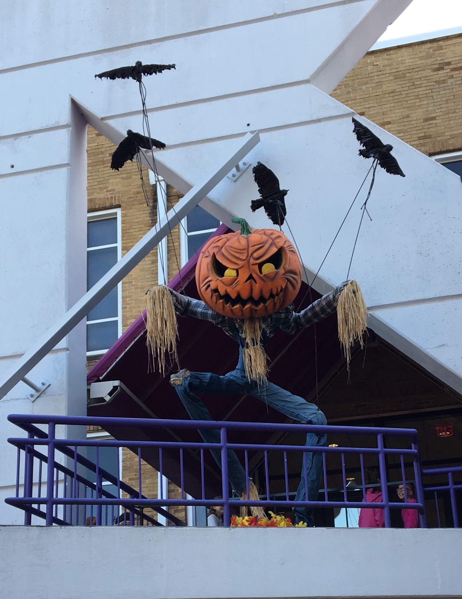 2371CF67-141C-41A2-B3C4-FFE888778718.jpeg