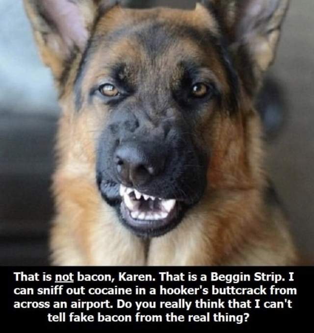 237A4E2F-6261-4BE1-BB02-D39350118F83.jpeg