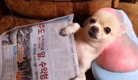 2396e39582b0e4d7e2aeee63c68622a0-279157909.gif