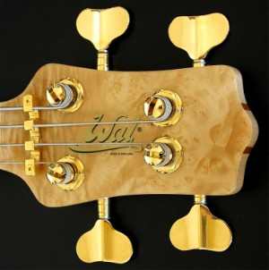 24-4-IanAndersson-Bass2001-Head.jpg