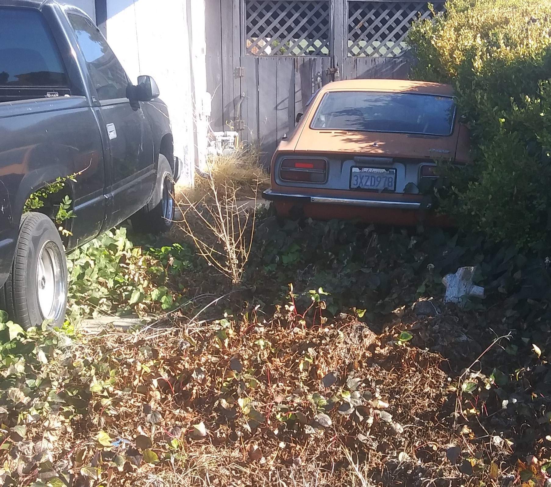 240z 2.jpg