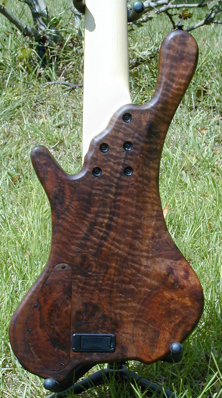 249_body_rear.jpg