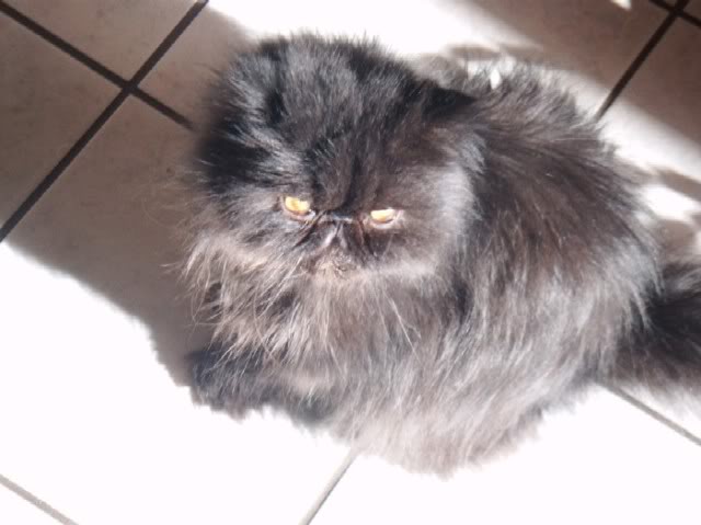 24Dec09c.jpg