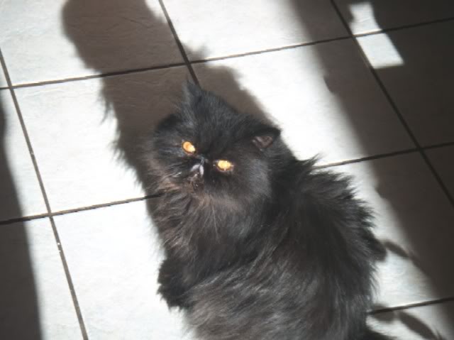 24Dec09d.jpg