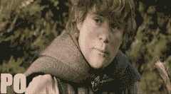24llxjp.gif