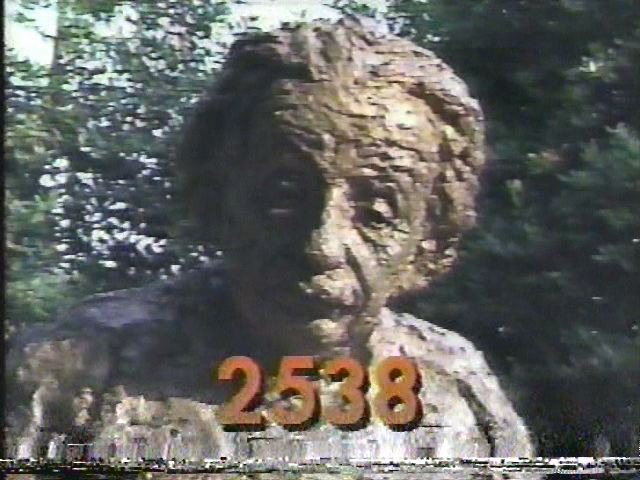 2538.jpg