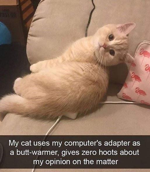 2543E5AC-E6D3-4B71-A659-3E36B505676D.jpeg