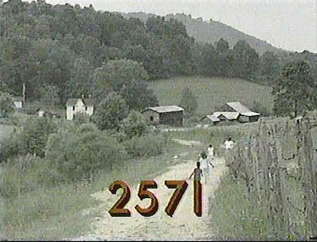 2571.jpg