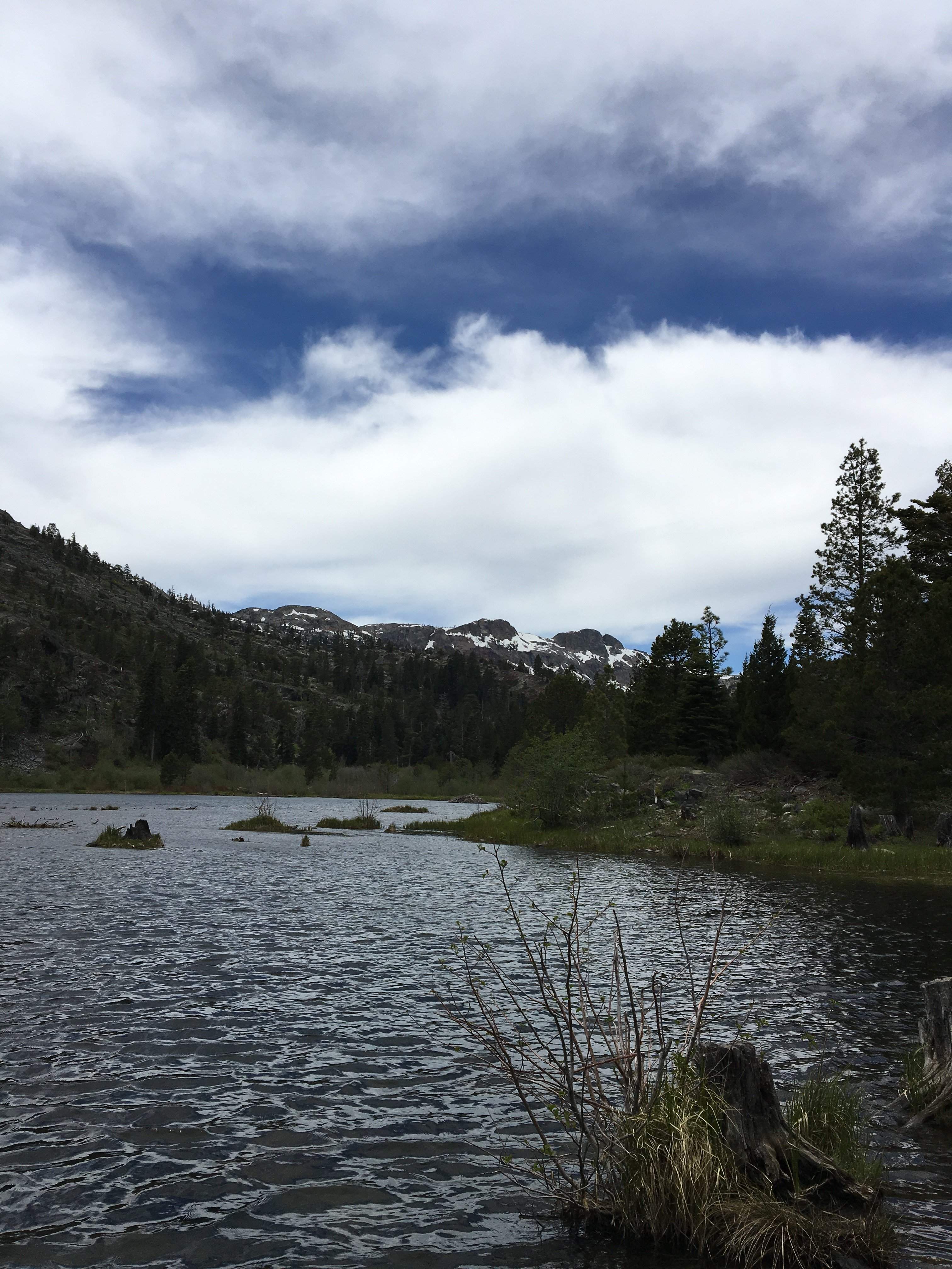 2575A887-E259-4011-AF2E-2158BD0C5050.jpeg