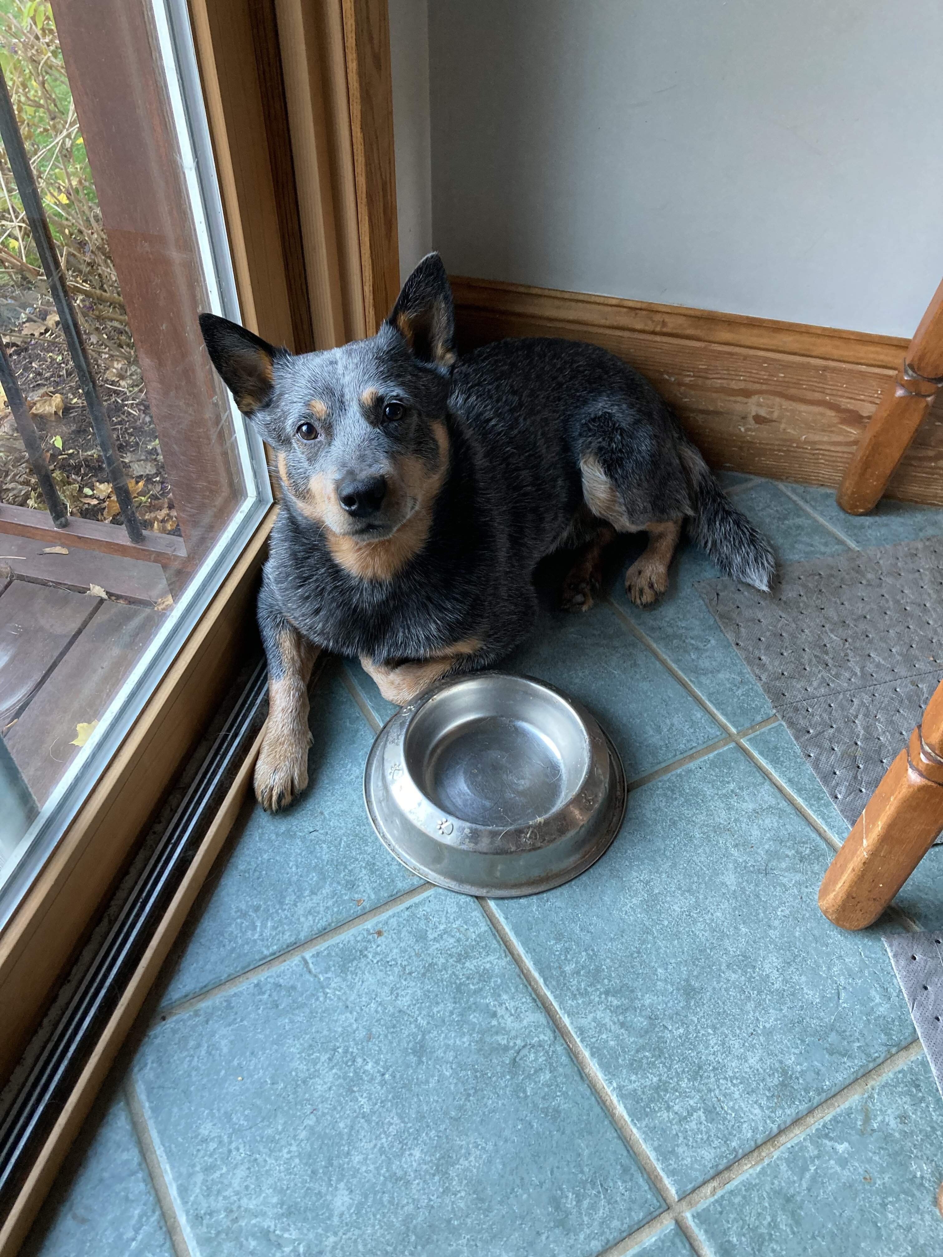 25A7FDCE-0F73-49B2-84DF-575CEF237B6E.jpeg