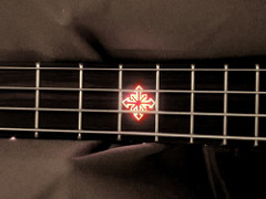 2604780_aa0898c1db_m.jpg