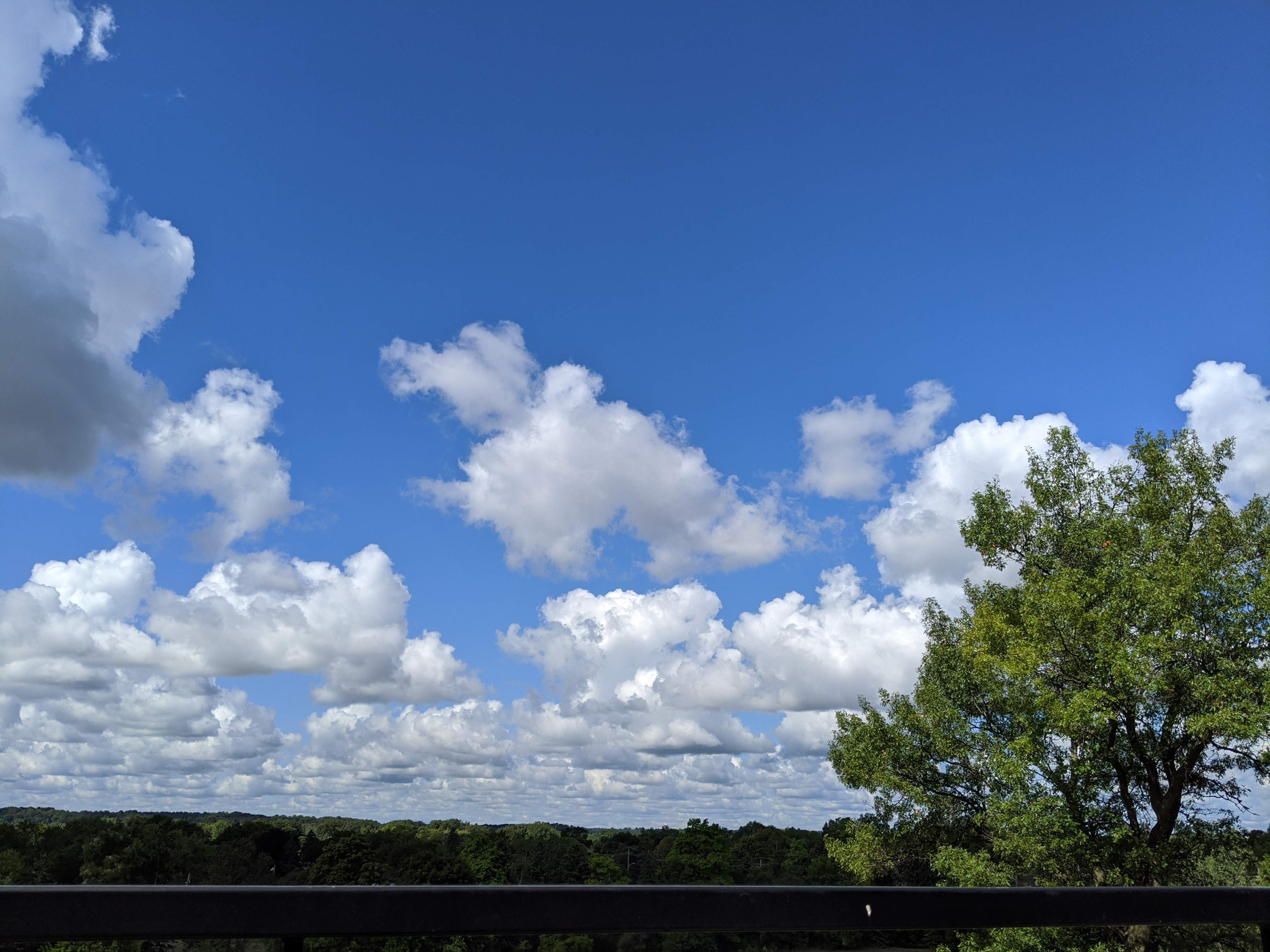 26501E6E-0944-4550-A700-50C419A2E47C.jpeg