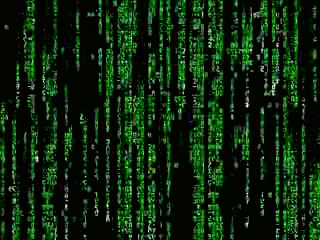 2666368587_0e1c25c234_o.gif