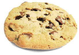 275px-Choco_chip_cookie.jpg