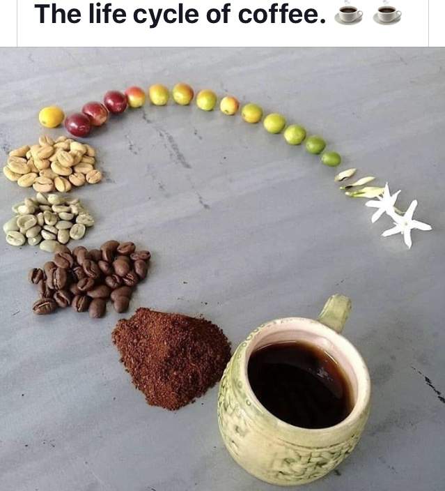 28A49FE1-066A-47FF-88E0-C9F9CD879E8C.jpeg