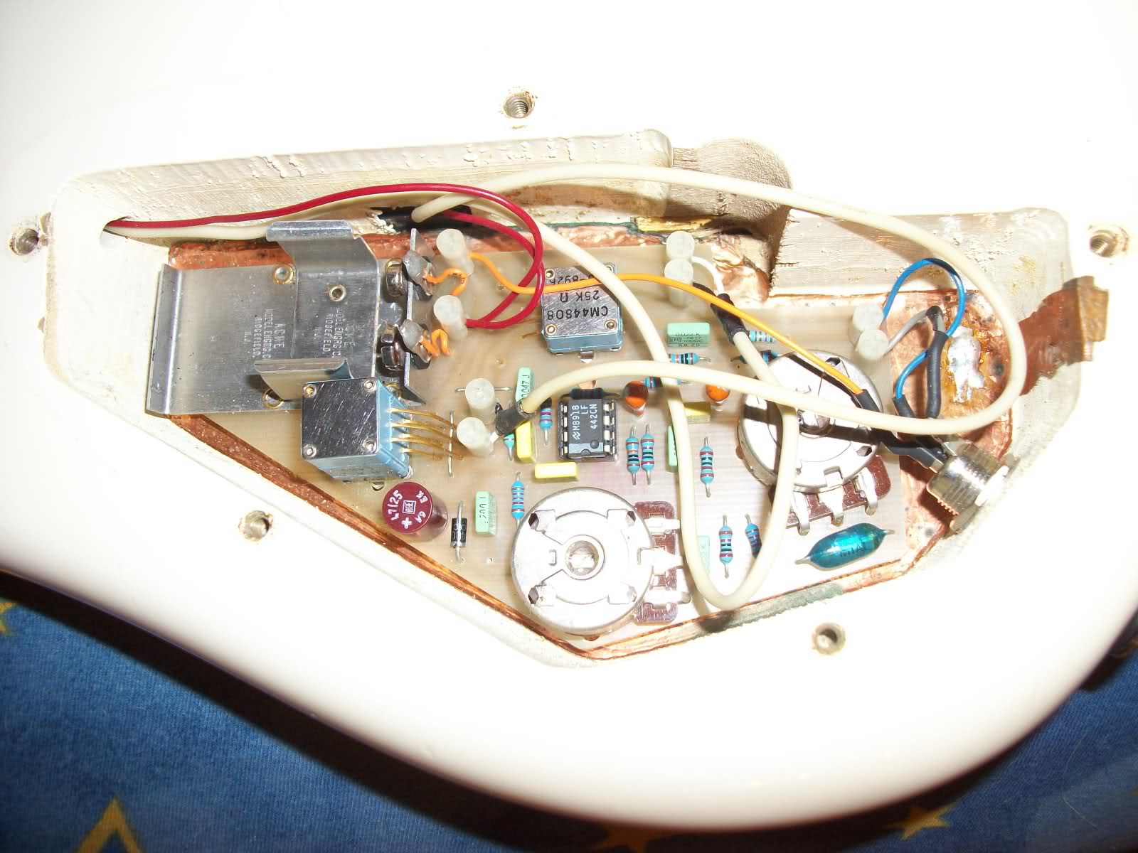 29d8c3b.jpg