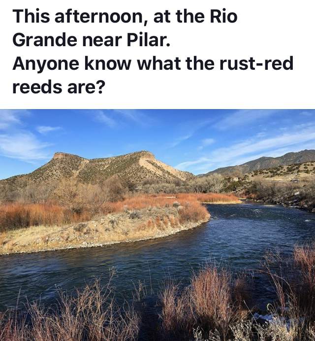 2AD89D09-62C6-4B0C-AE60-97442852F95F.jpeg