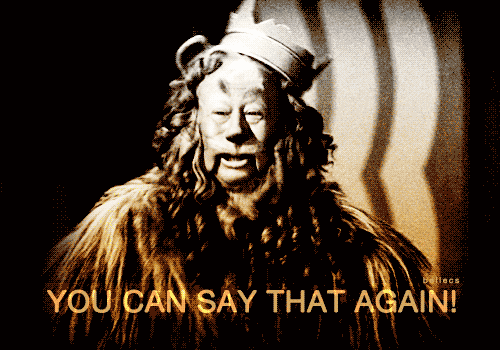 2b20f59f77867072a6f45e952ac0bc28.gif