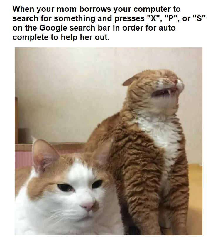2CC07077-BFB1-4DBF-A72D-6AF3AD01C045.png