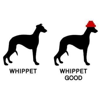 2e0c2e9af46cdaefd58f1e47e56b51f9.jpg
