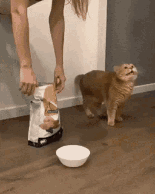 2F6D33DB-84A4-47E2-9DCF-87B646AE49F5.gif