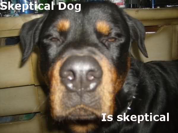 2heg5y8.jpg