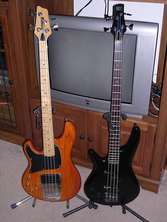 2Ibanezes02a.jpg