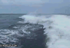 2kggno.gif