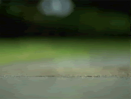 2r5mlawjjm4rpbt9r9dva8e.gif