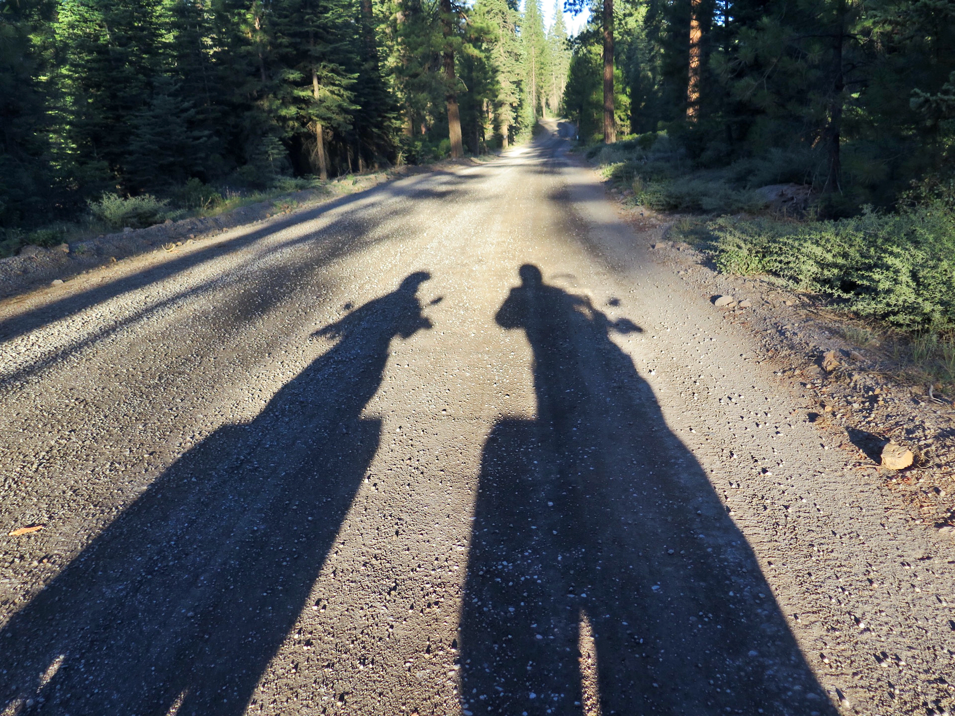2shadows.jpg