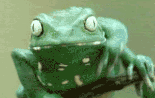 2wm2neo.gif