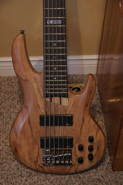 2z9bp09.jpg