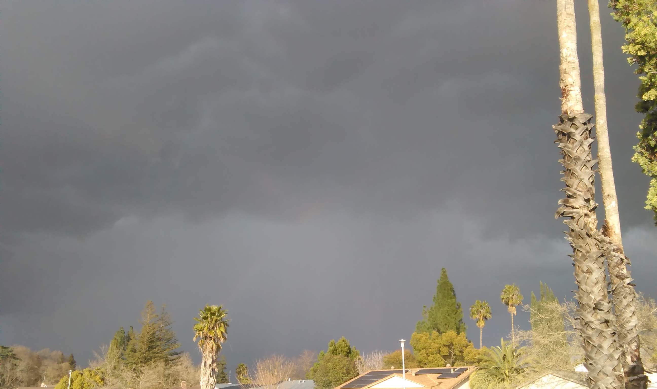 3-10-2019 - Before the storm.jpg