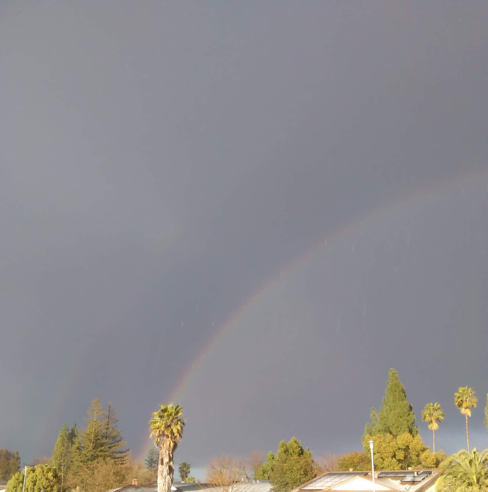 3-10-2019 - Rainbow 1.jpg