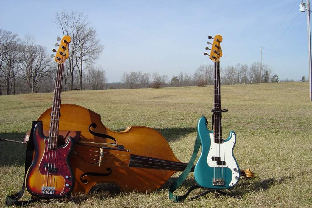 3 basses 1000x667.jpg