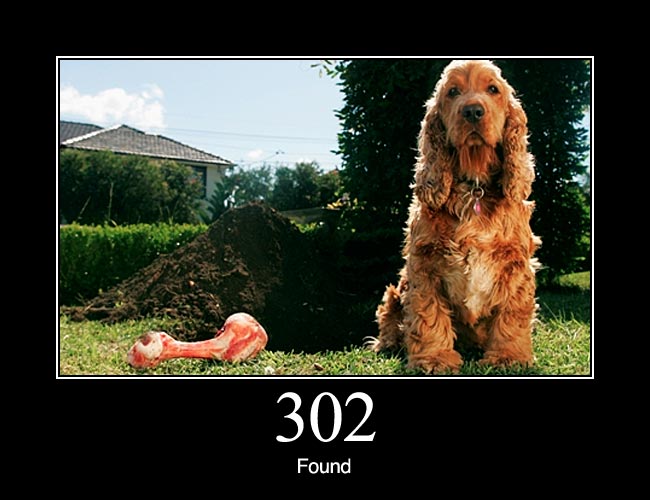 302.jpg