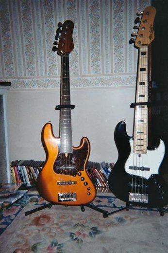 317717969.jpg