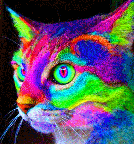 3181349b559ebb102ea9f6bb1fa5e59d.gif