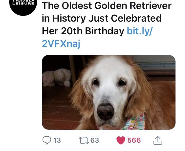 32066E2A-6F8F-475D-86DA-F0922DC651BF.jpeg