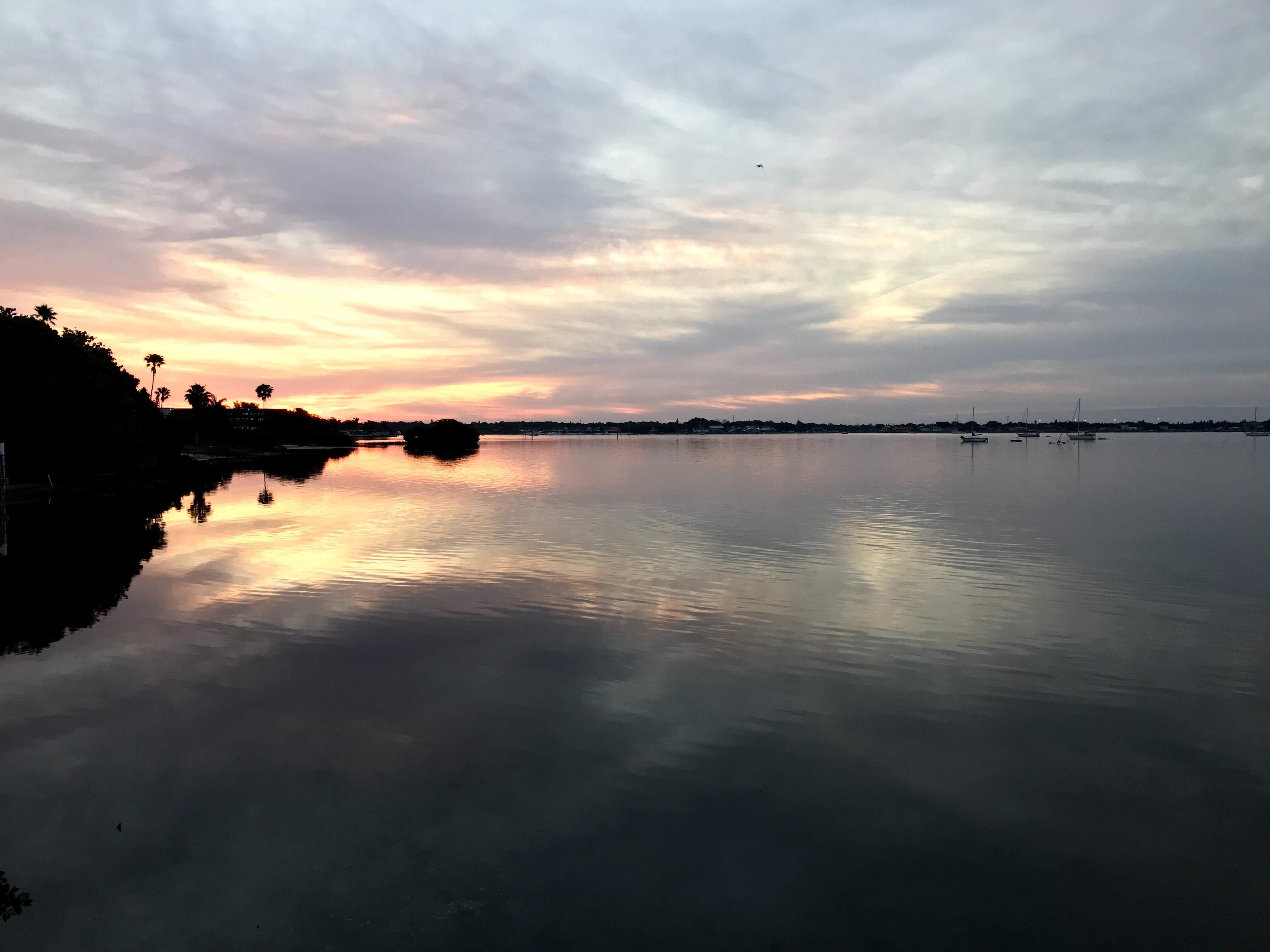 321C7269-768D-4A07-BCFE-8684D23100F3.jpeg